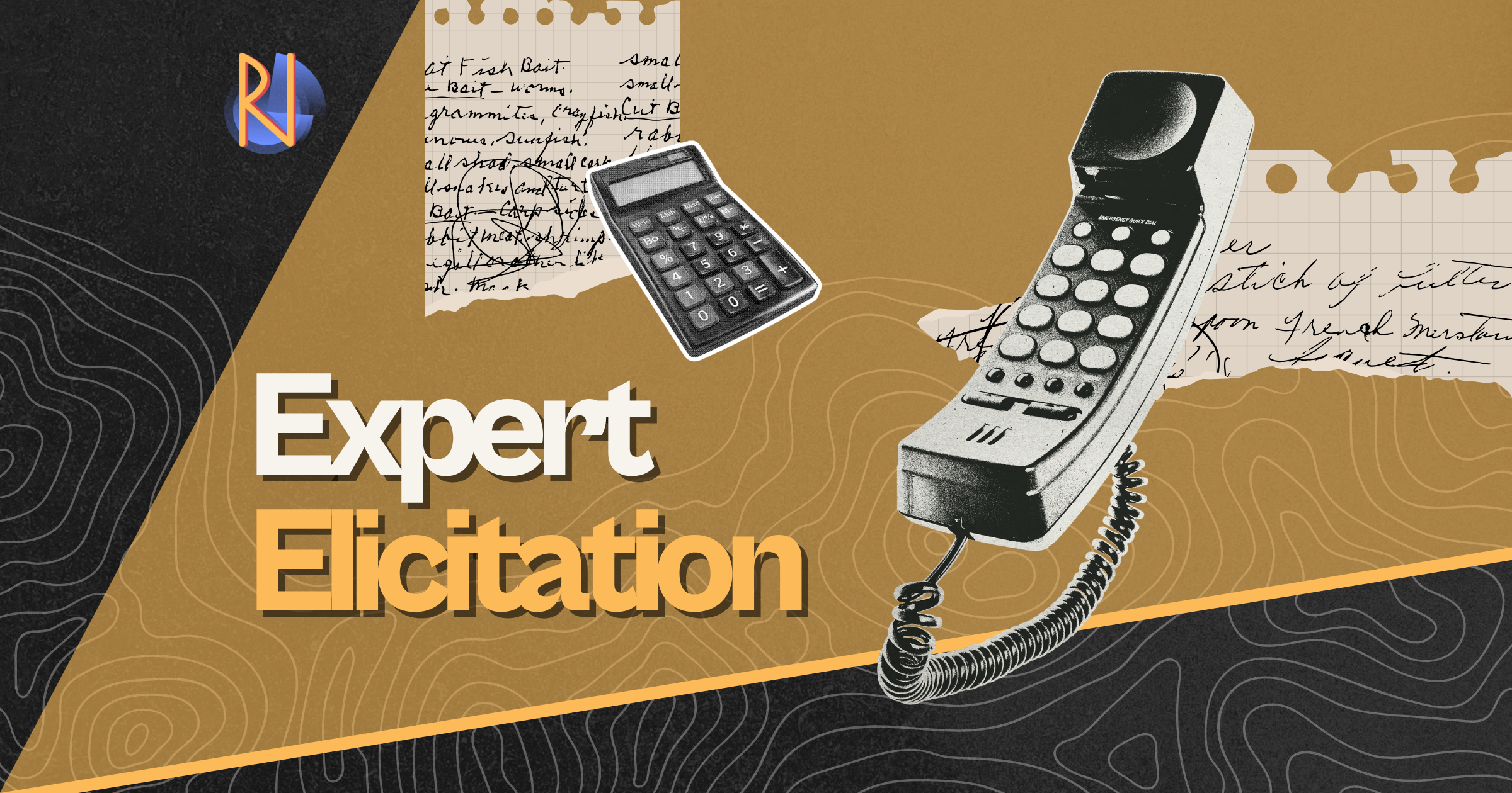 Expert Elicitation issue thumbnail