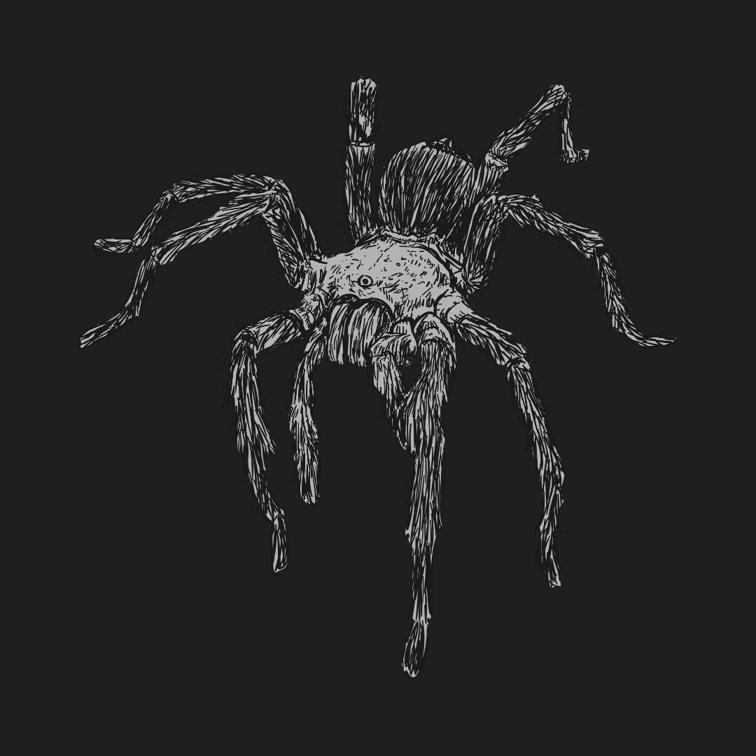 Illustration representing SPIDER