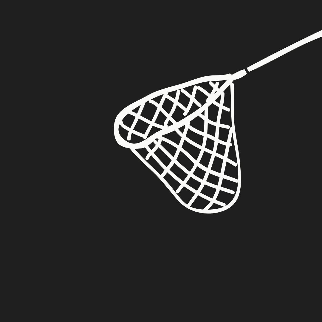 Illustration representing NB
